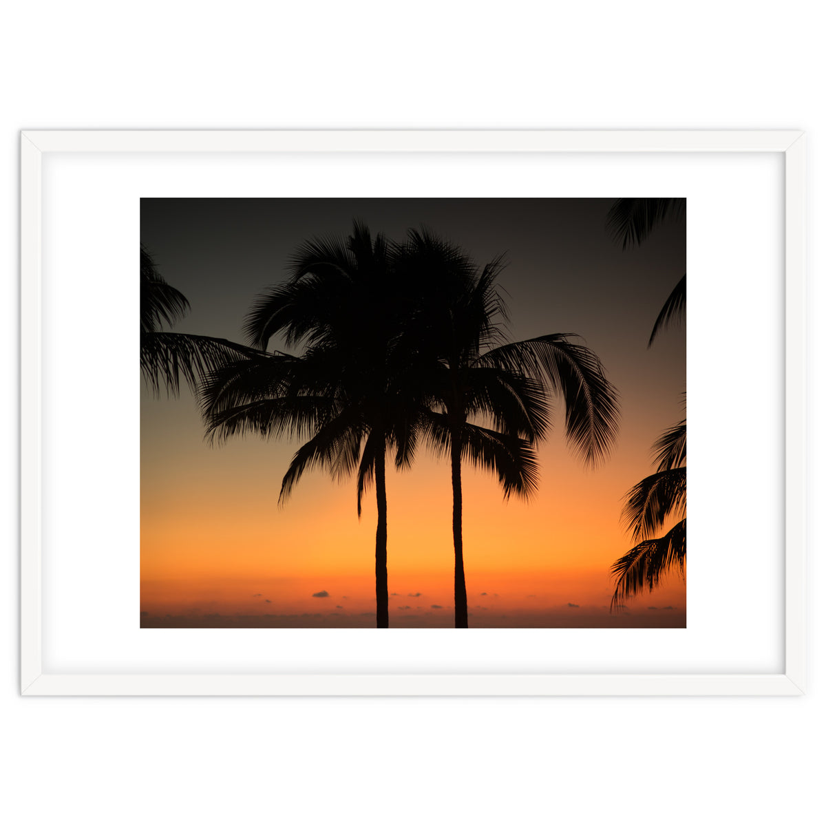 Mexico, November nights