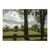 Bucolism 2 (Print Only) thumbnail