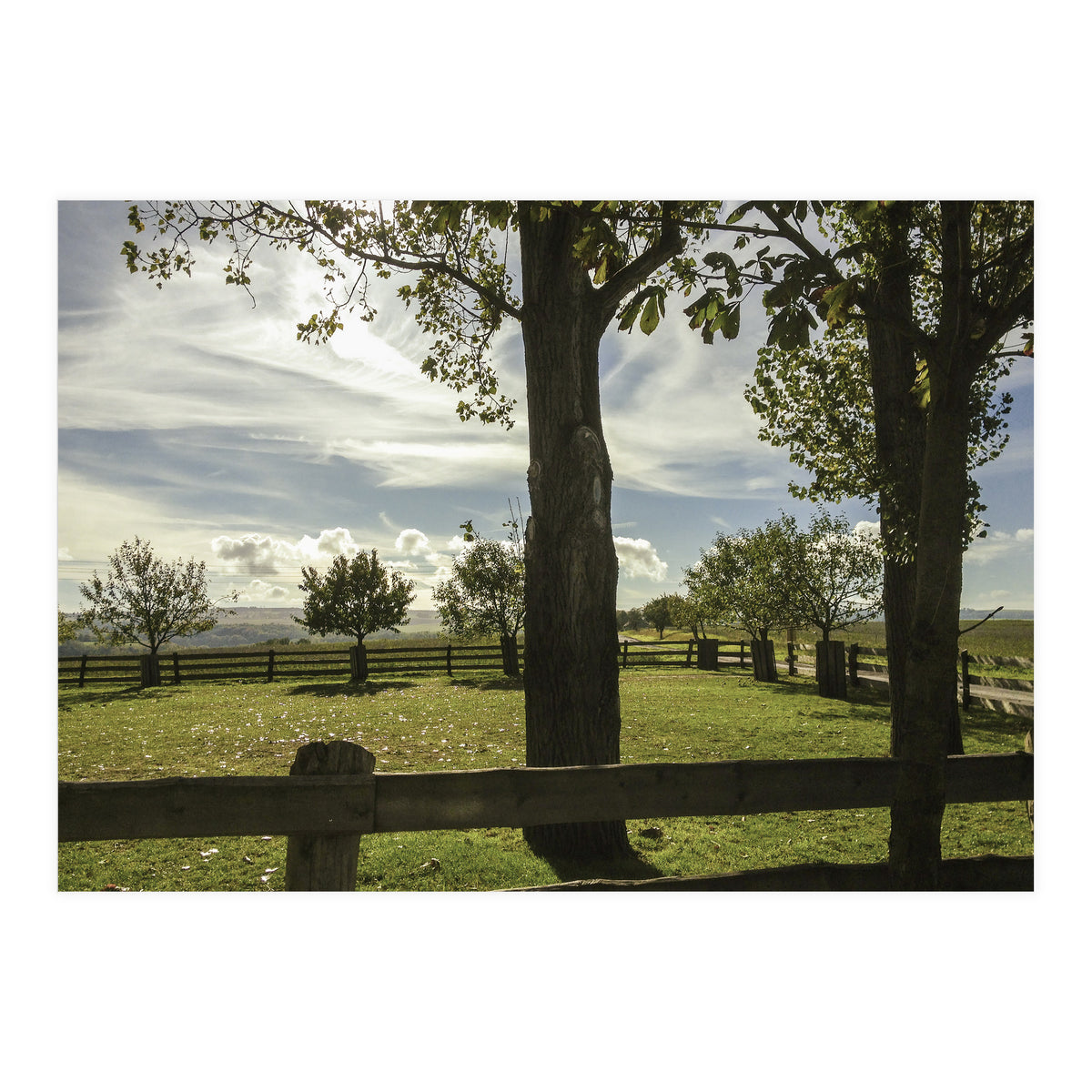 Bucolism 2 (Print Only)