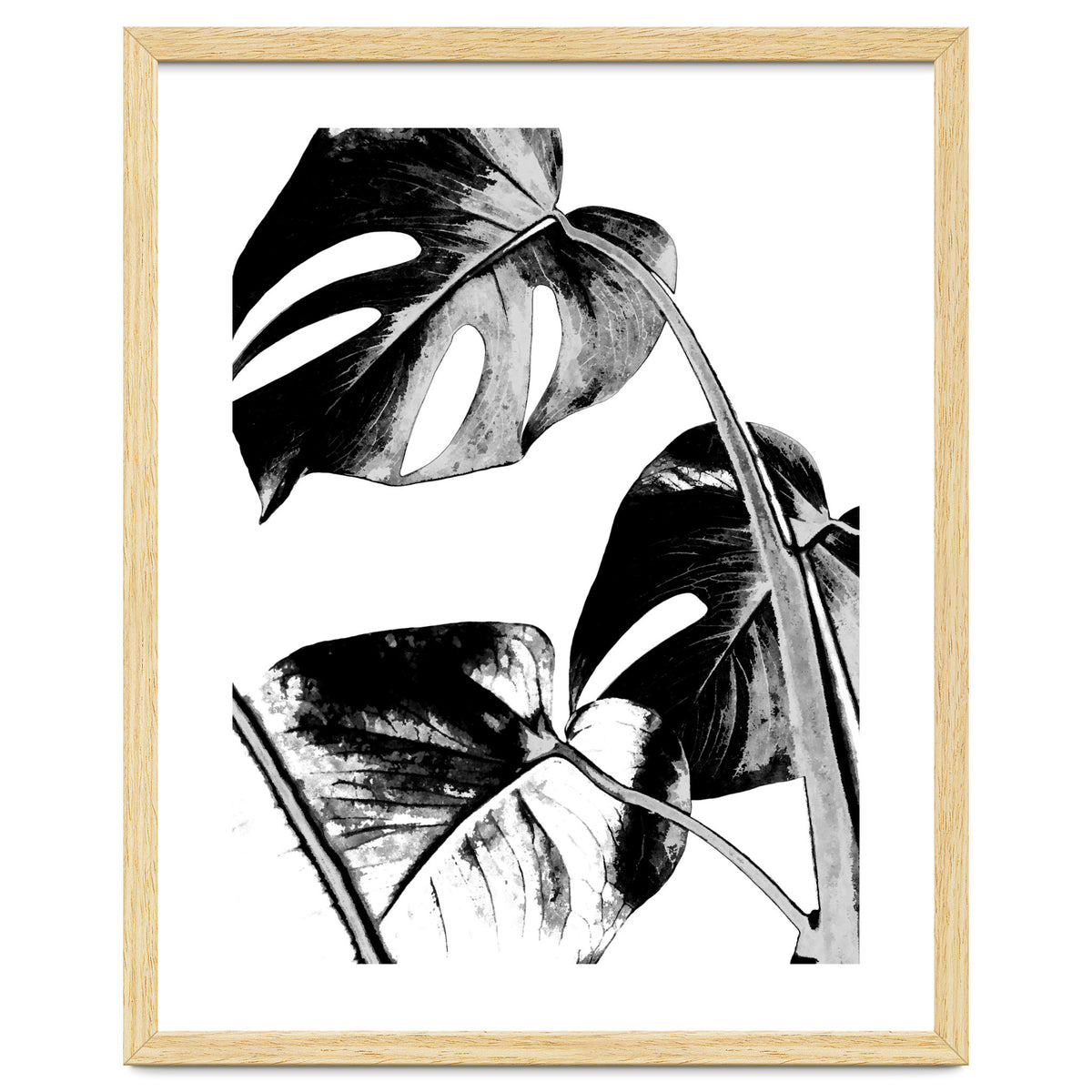 Black Tropical Leaves