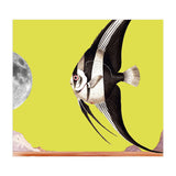 Plenty of fish in the sea yellow (Print Only) thumbnail
