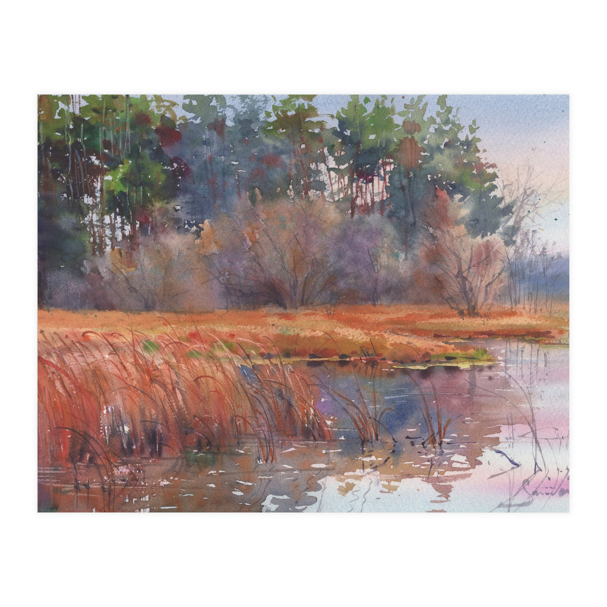 The Force Awakens (Print Only)