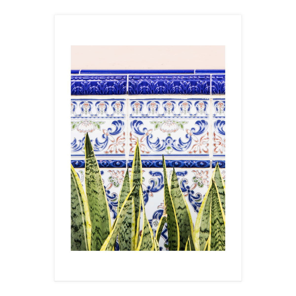 Moroccan Botany (Print Only)