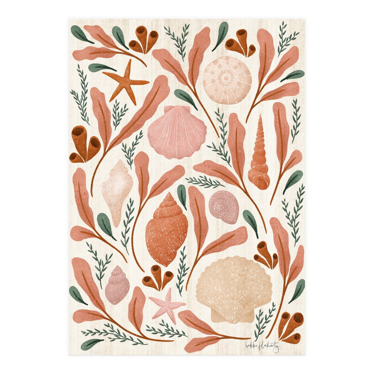 Shells Collection (Print Only)