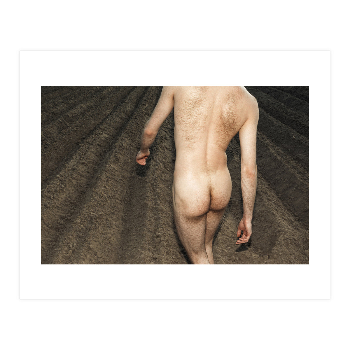 Hairy Joe (Print Only)