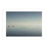 The Salton Sea (Print Only)