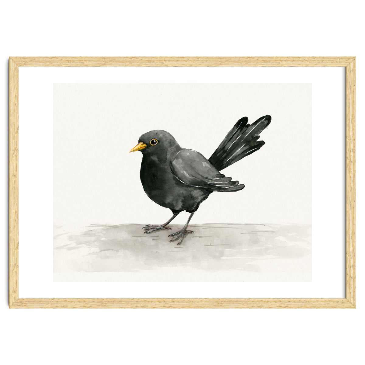 Blackbird ink drawing