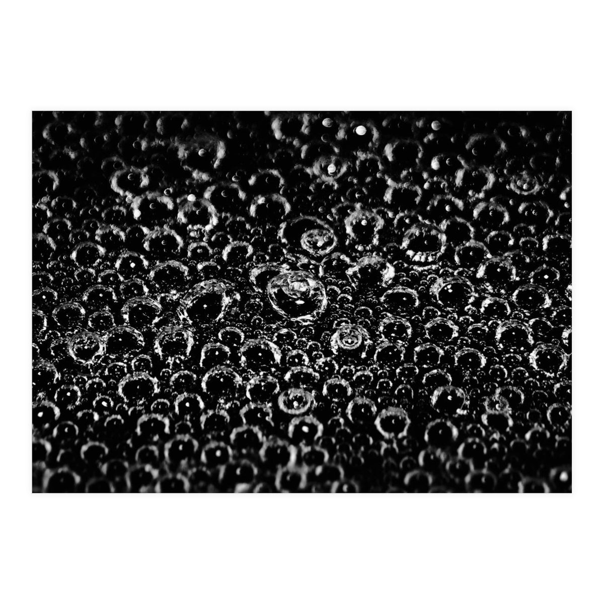 Bubbles (Print Only)