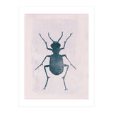 Beetle 1 (Print Only) thumbnail