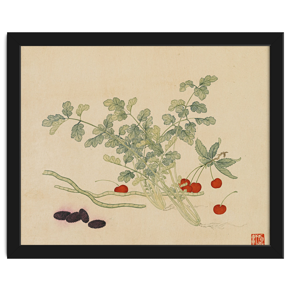 Wang Chengyu~flowers And Vegetables, Vegetables, Fruits, Beans, Red Beans, Cherries, Celery