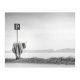Highland Visitor (Print Only) thumbnail
