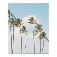 Tropical Palm Trees (Print Only)