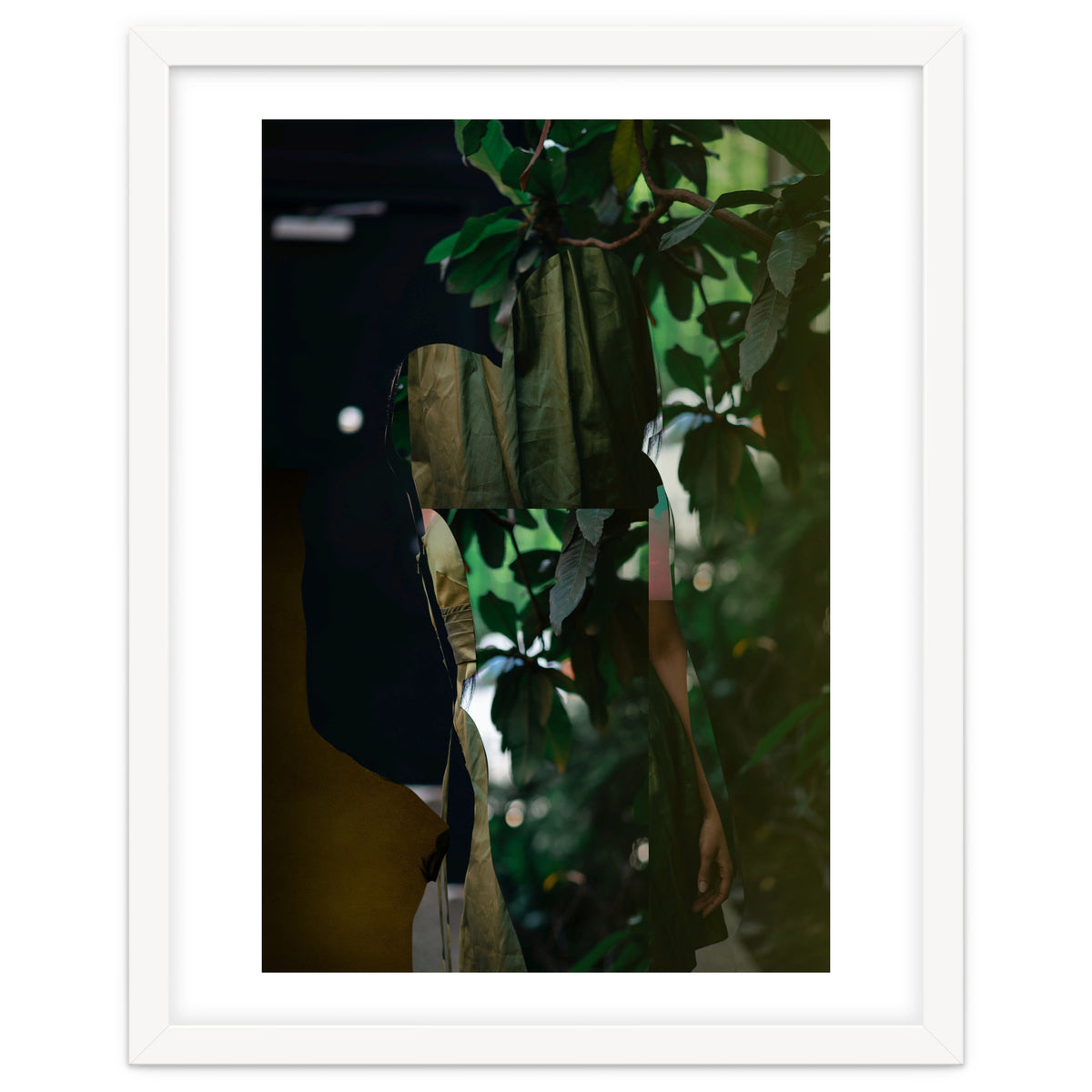 Disappeared Dreams 5