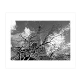 Eiffel Tower, Paris (Print Only) thumbnail