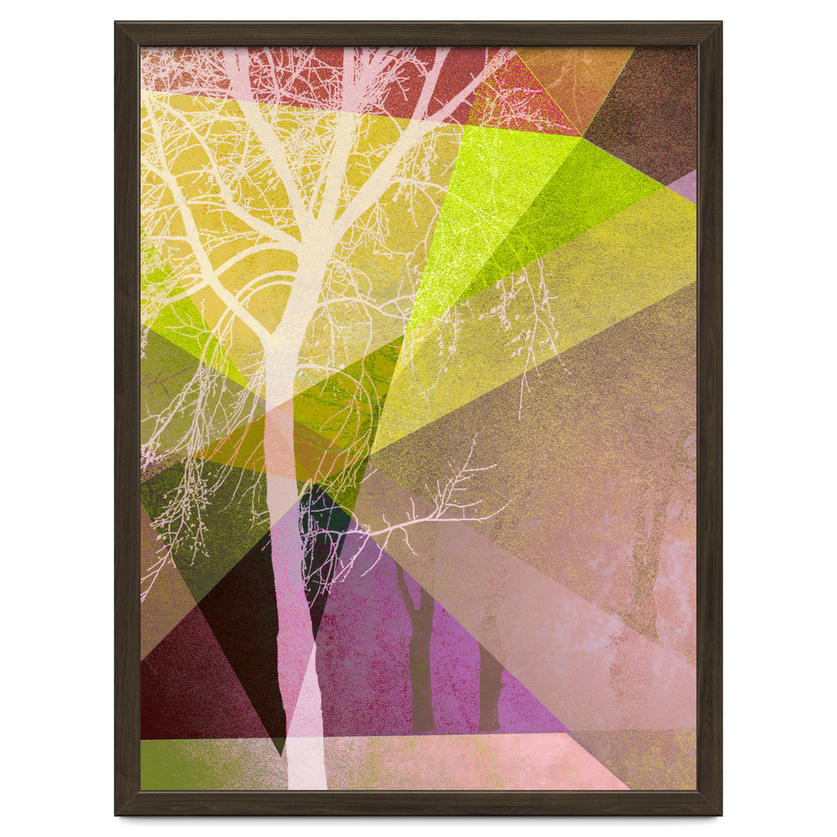 P22 Trees And Triangles