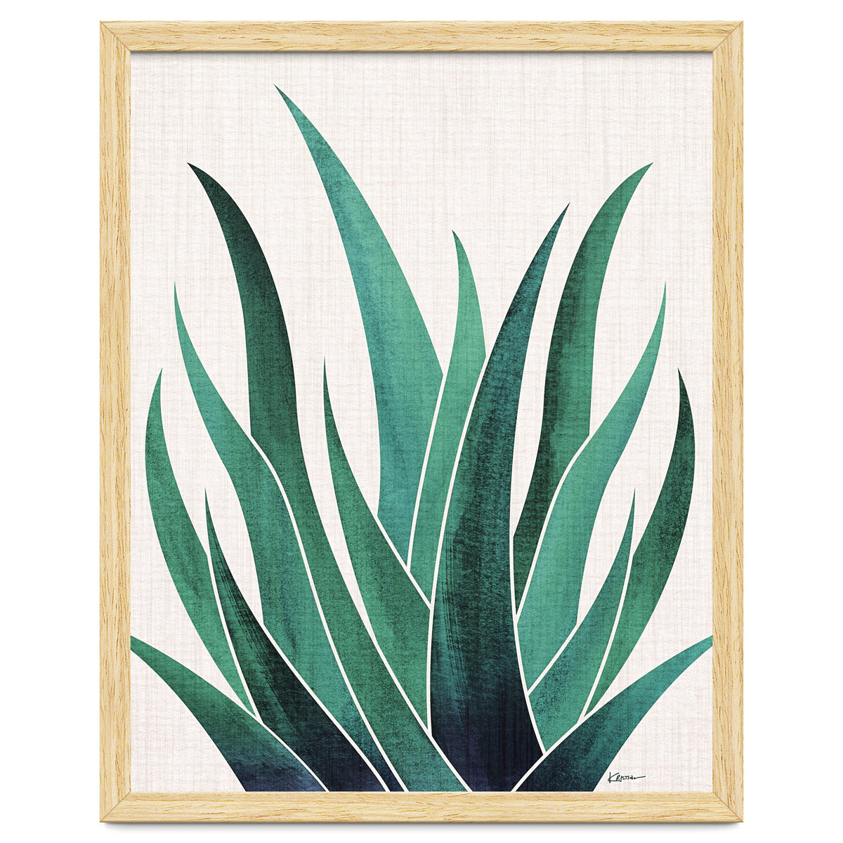 Desert Agave