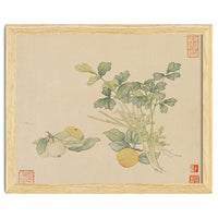 Wang Chengyu~flowers And Vegetables, Vegetables, Fruits, Plums, Apricots, Celery