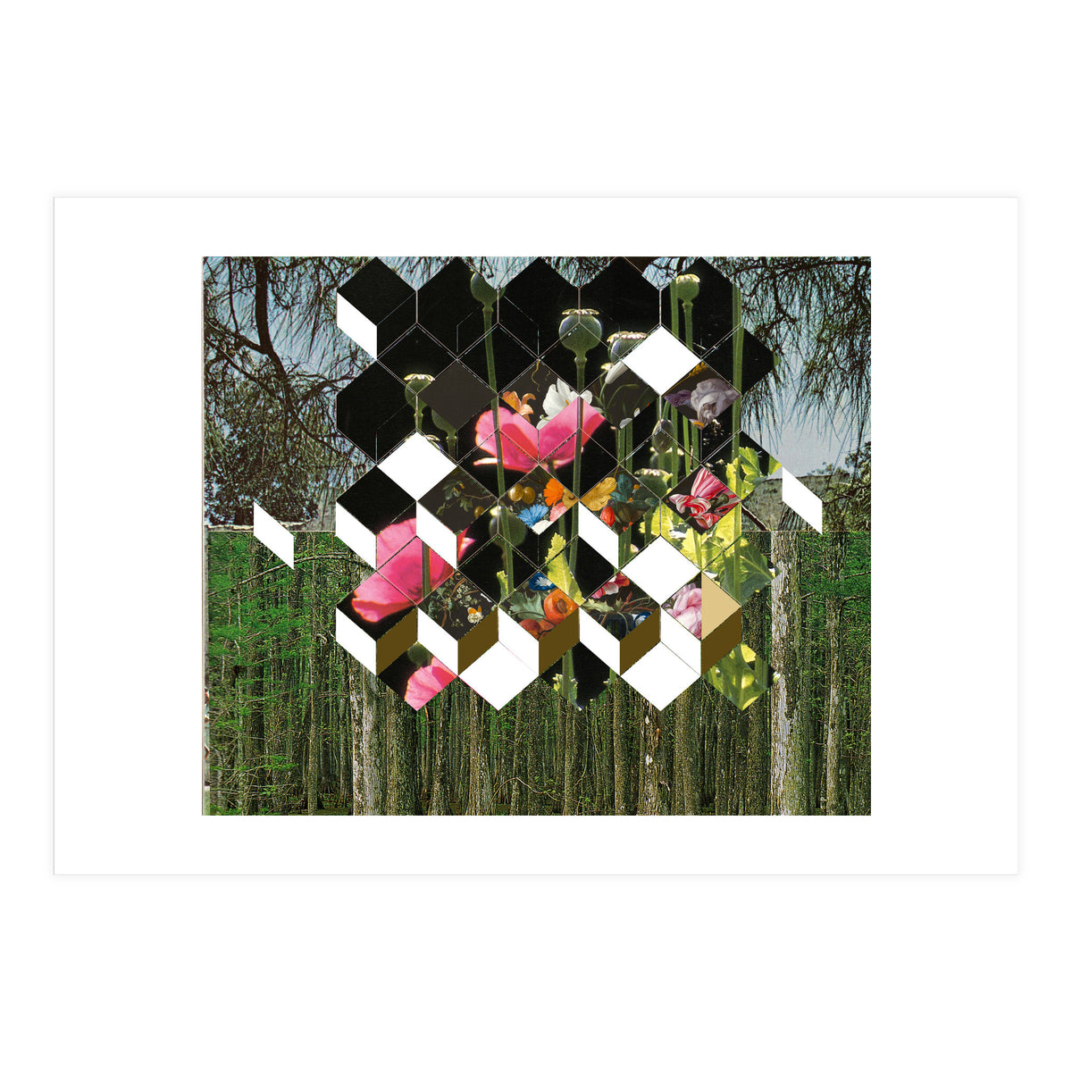 The Green (Print Only)