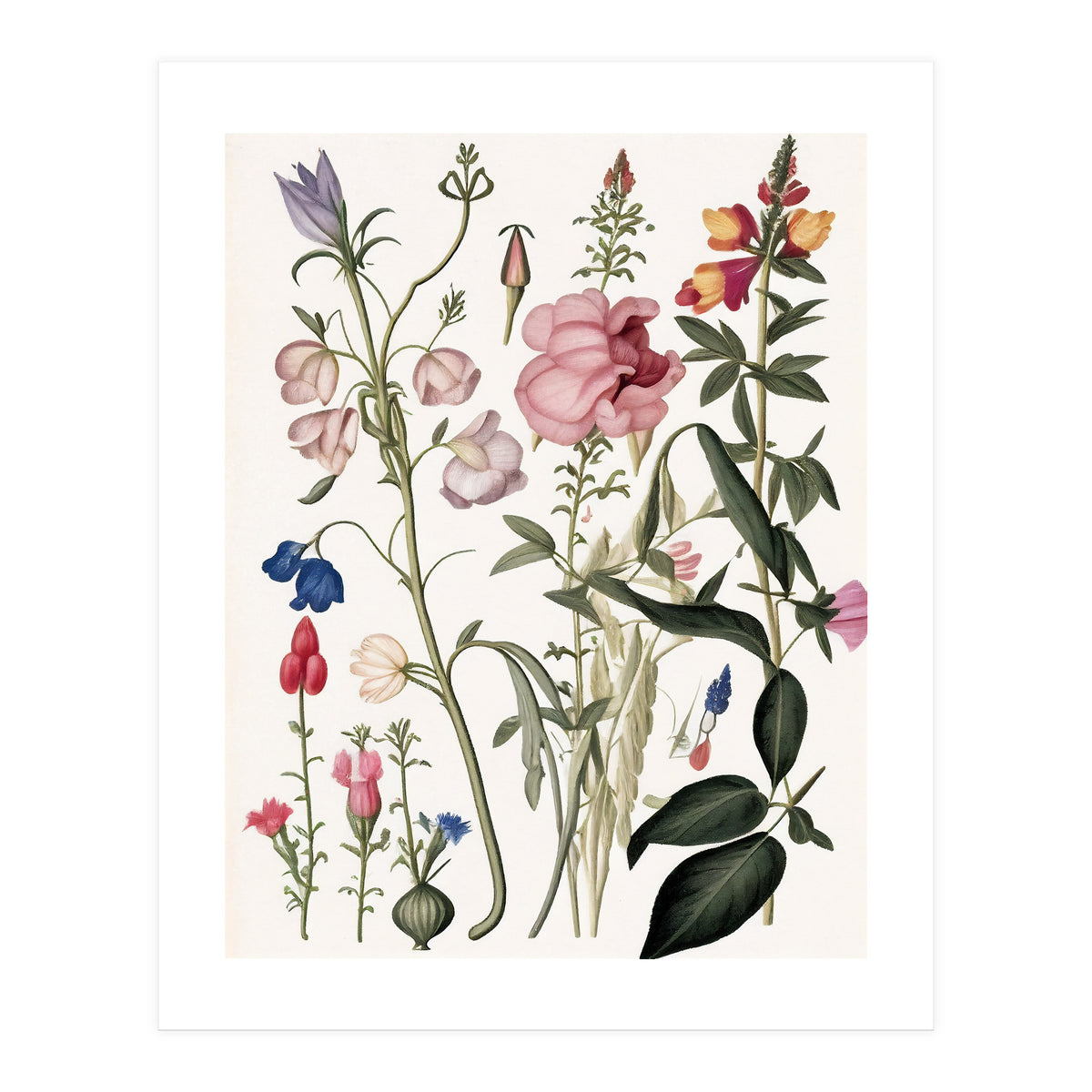 Flowers Botanical Vintage Illustration (Print Only)