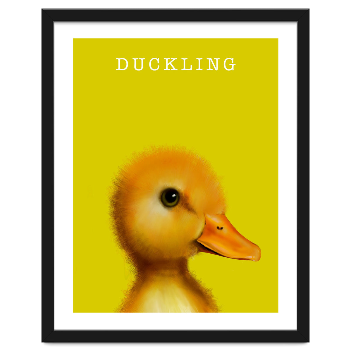 Duckling