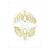 Polillas - Gold (Print Only) thumbnail