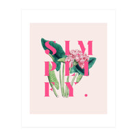 Simplify (Print Only)