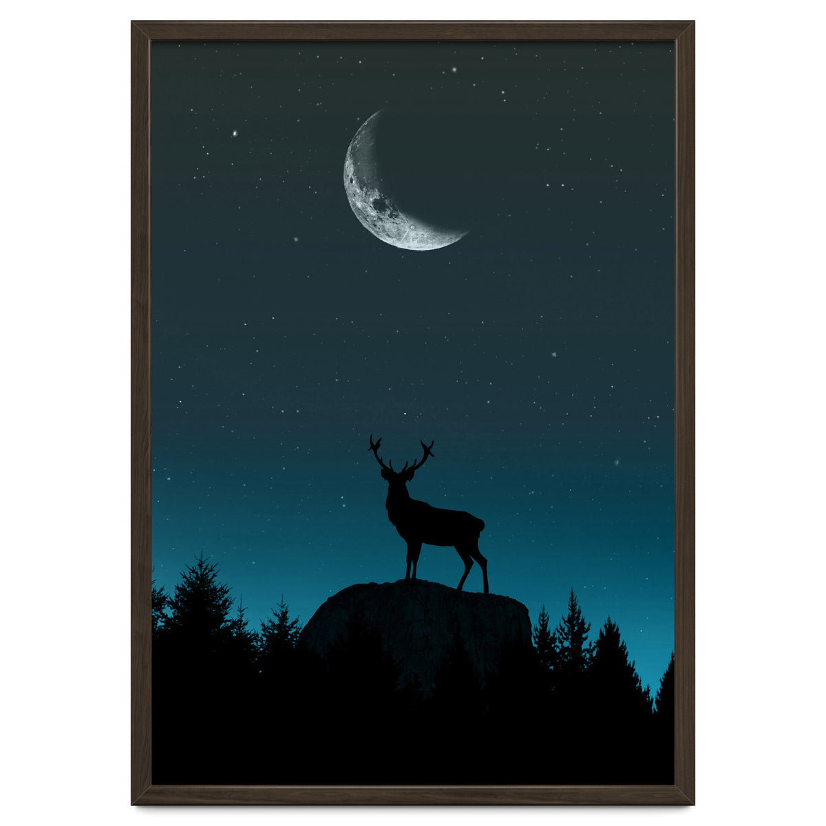 Wild Nature - Nocturne