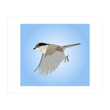 Willow Tit Bird Low Poly Art (Print Only) thumbnail