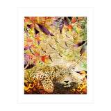 A Life Wild (Print Only) thumbnail