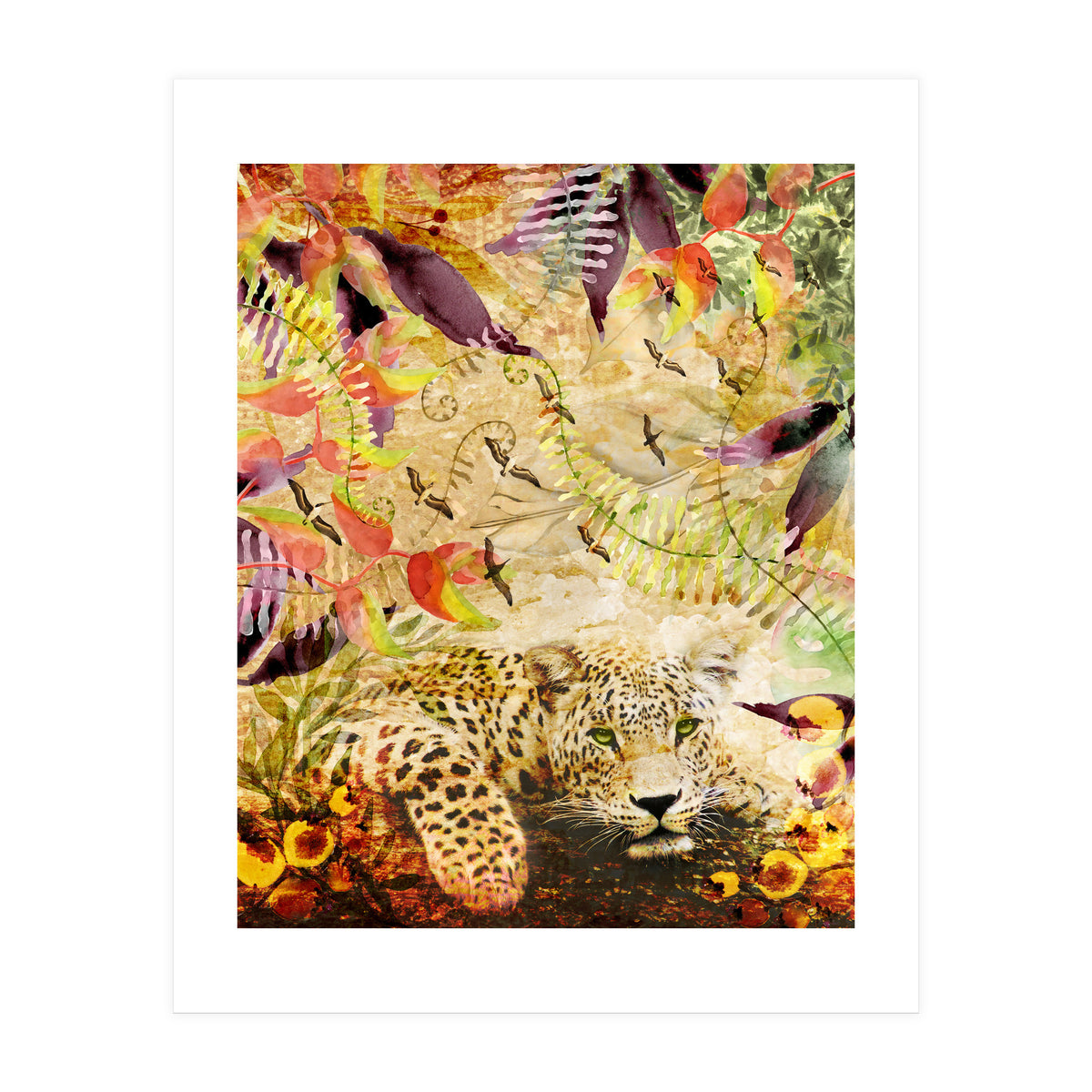 A Life Wild (Print Only)