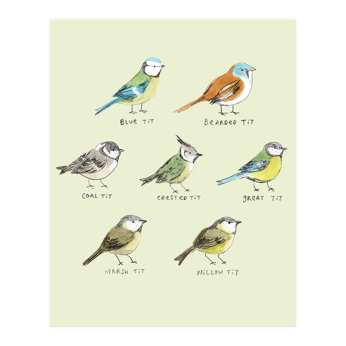 The Tit Family (Print Only)