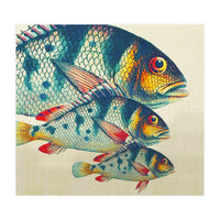 Fish Classic Designs 3 (Print Only)