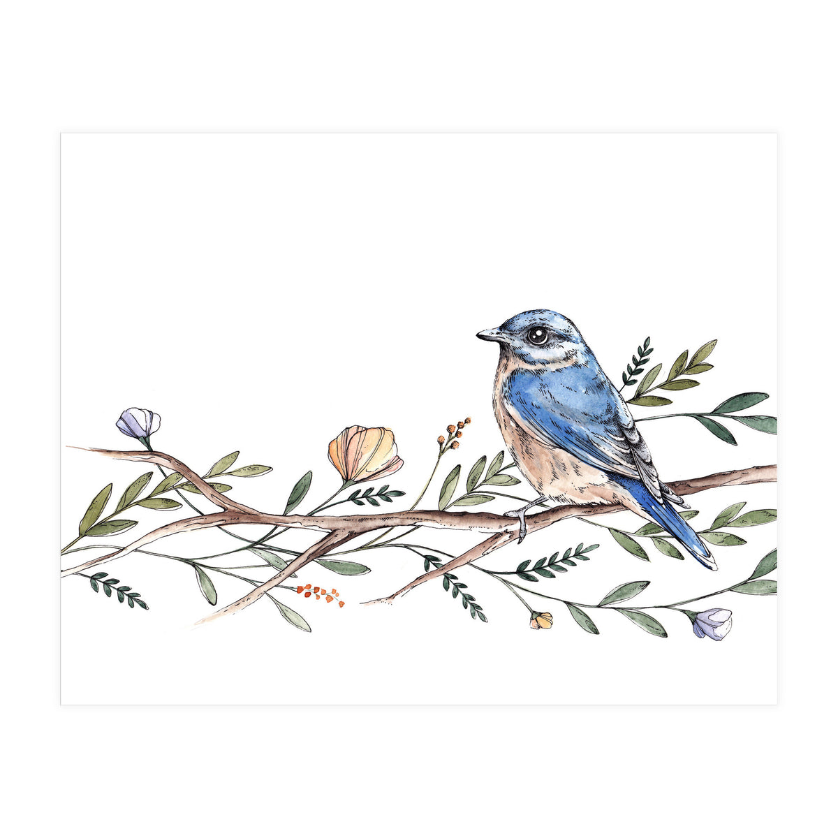 Bird on Branch (Print Only)