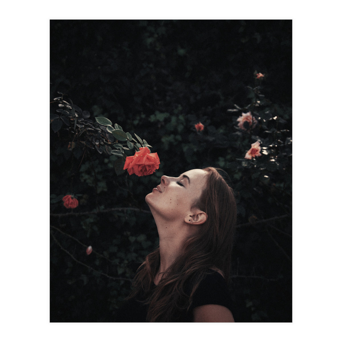 Kss Kss Meow Meow (Print Only)