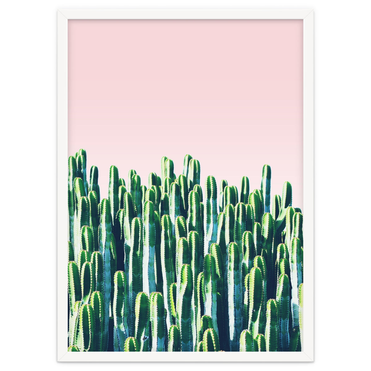 Cactus & Sunset I