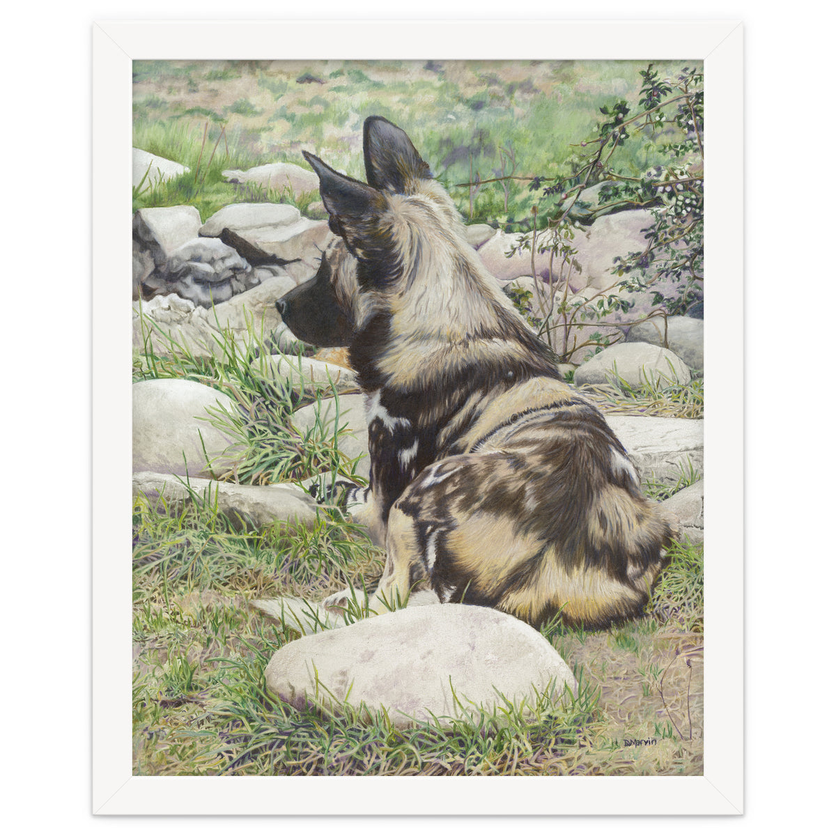 African Painted Dog I