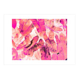 Pink Nirvana (Print Only) thumbnail