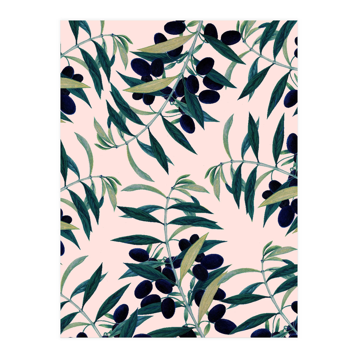 Olive Branch Pattern (Print Only)