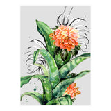 Collage of florid nature  (Print Only) thumbnail