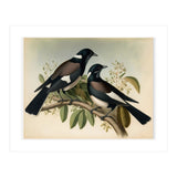Magpies Vintage Painting (Print Only) thumbnail