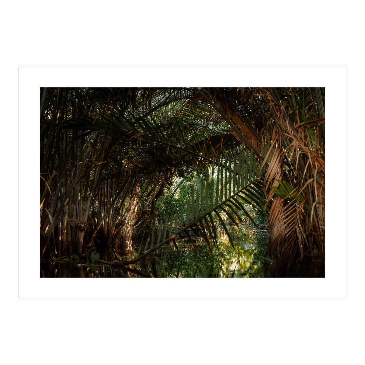 Exploring Vietnam (Print Only)