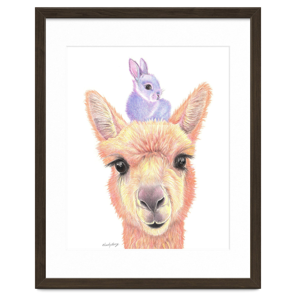 Alpaca and Bunny