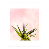 Joy Of Dreams (Print Only) thumbnail