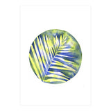 Fern Shadows Std (Print Only) thumbnail
