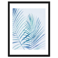 Coastal Palm Fronds