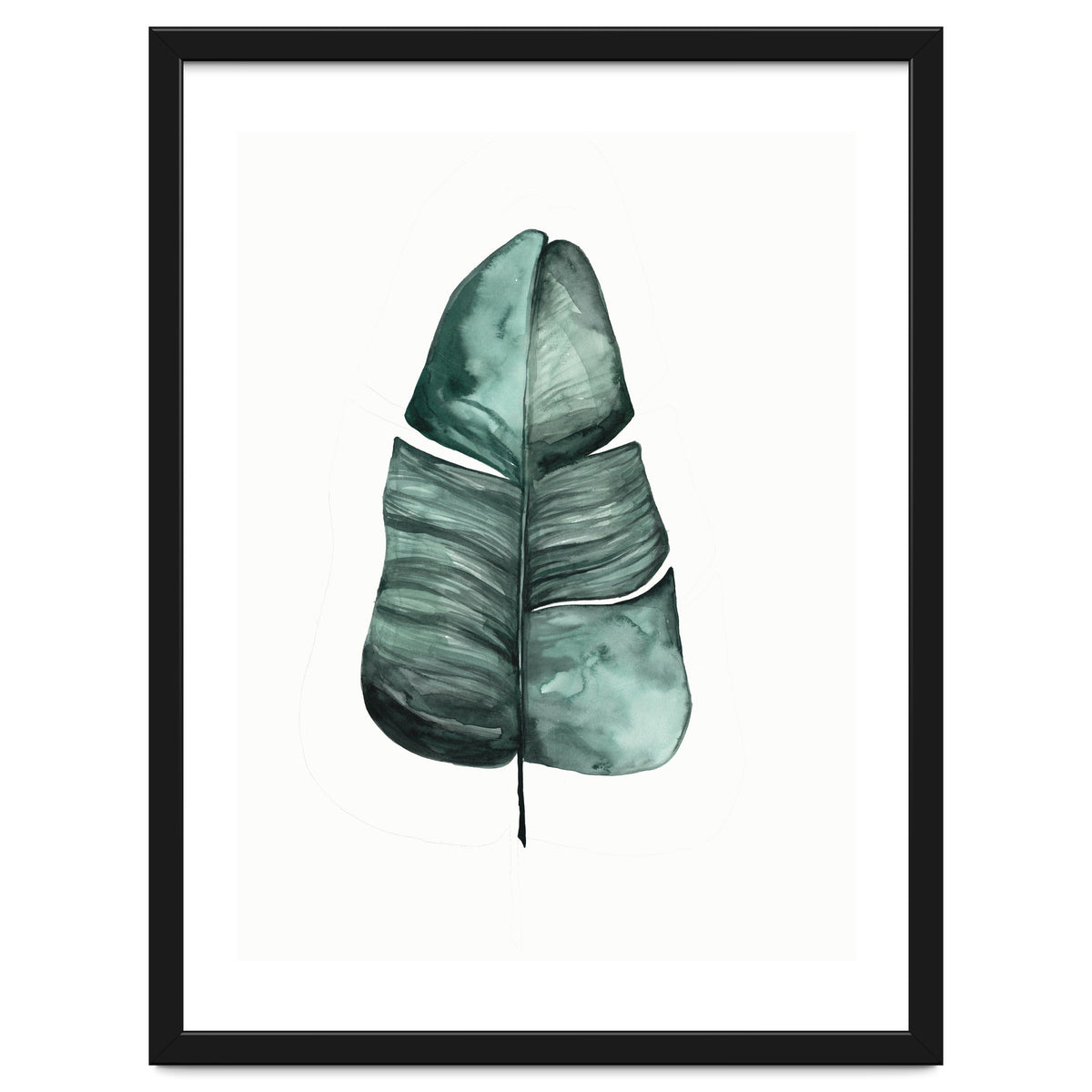 Botanical Illustration Banana Leaf