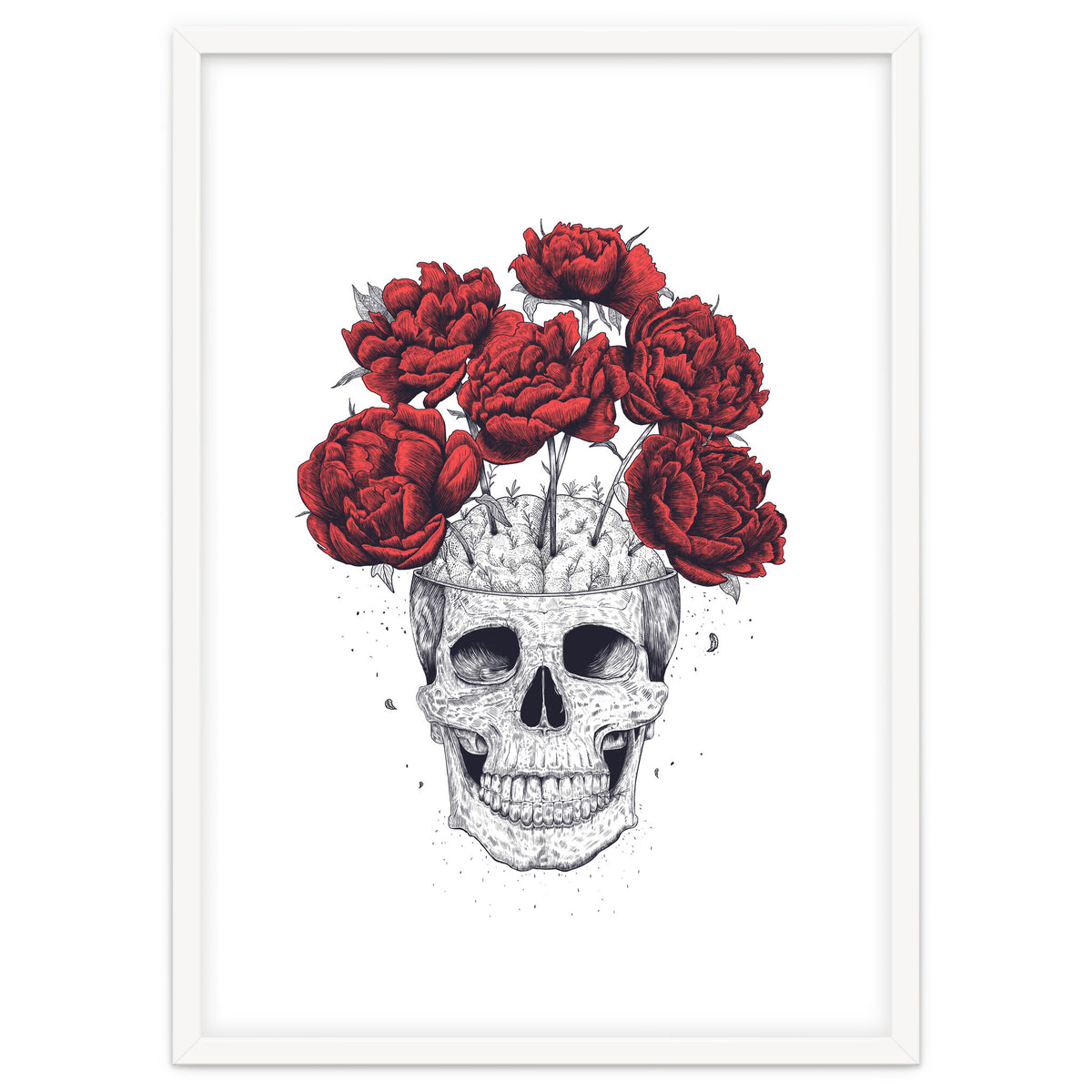 Skull With Peonies