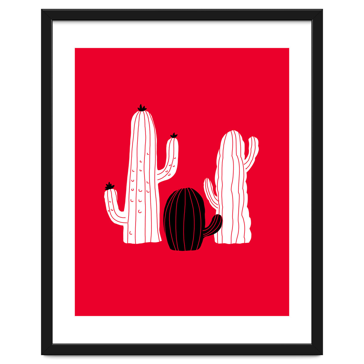 Cactus