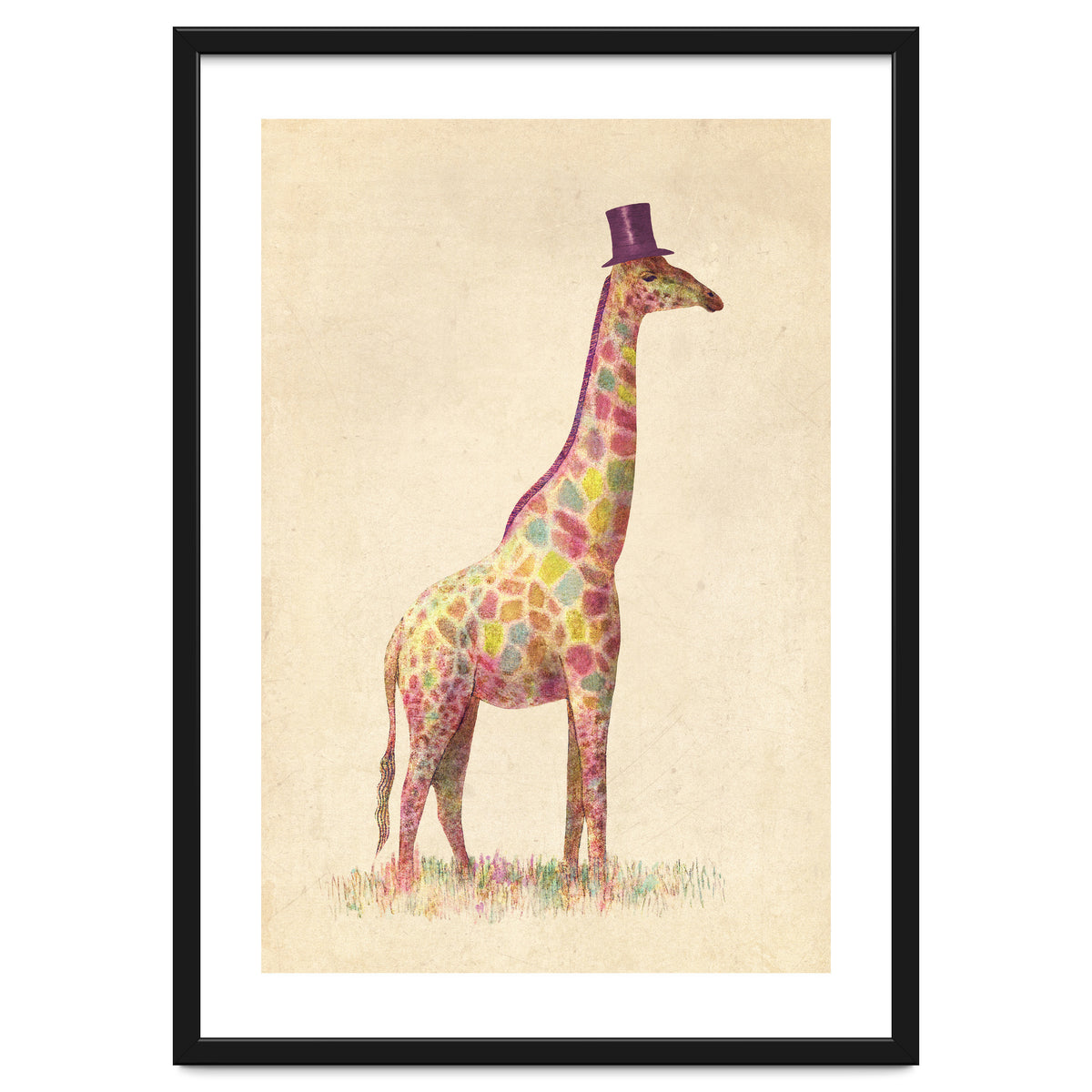 Fashionable Giraffe