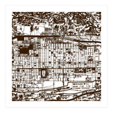 Antique Oriental Town Map  (Print Only) thumbnail